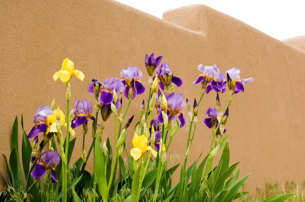 Fort Marcy Suites By All Seasons Resort Lodging Santa Fe Eksteriør bilde